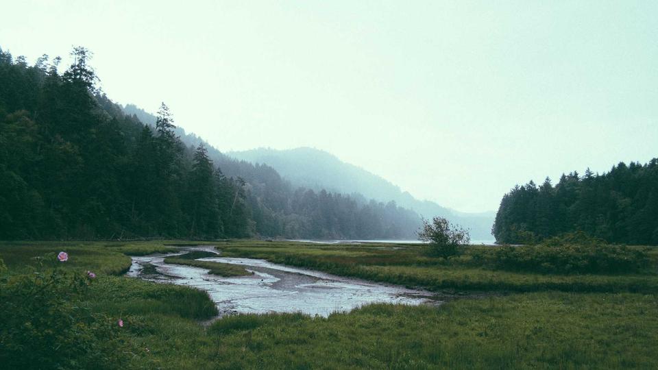 Новые требования к поверке средств измерений